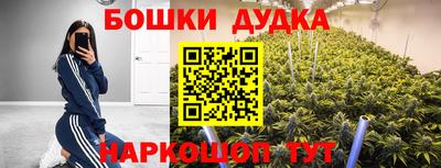 spice Кинель