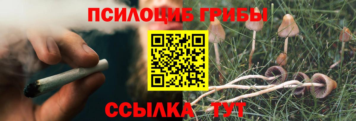 Галлюциногенные грибы GOLDEN TEACHER  купить  сайты  Электрогорск  Вход с VPN 